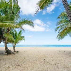 Meet your Posher, Dina